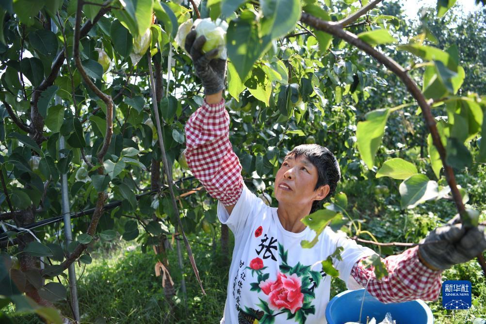 无需入金开户赠金外汇